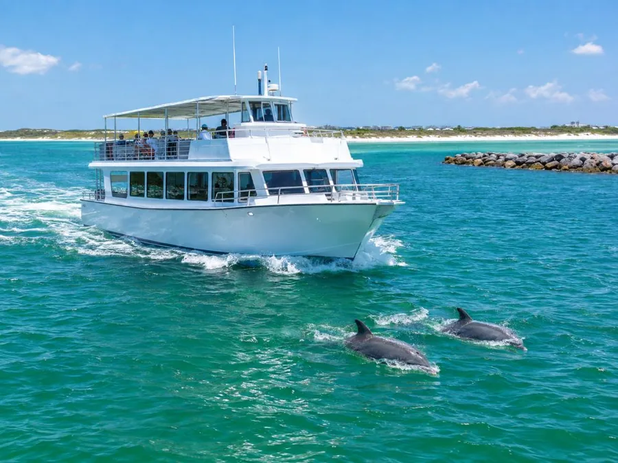 Destin: Delfinfahrt mit dem Glasbodenboot